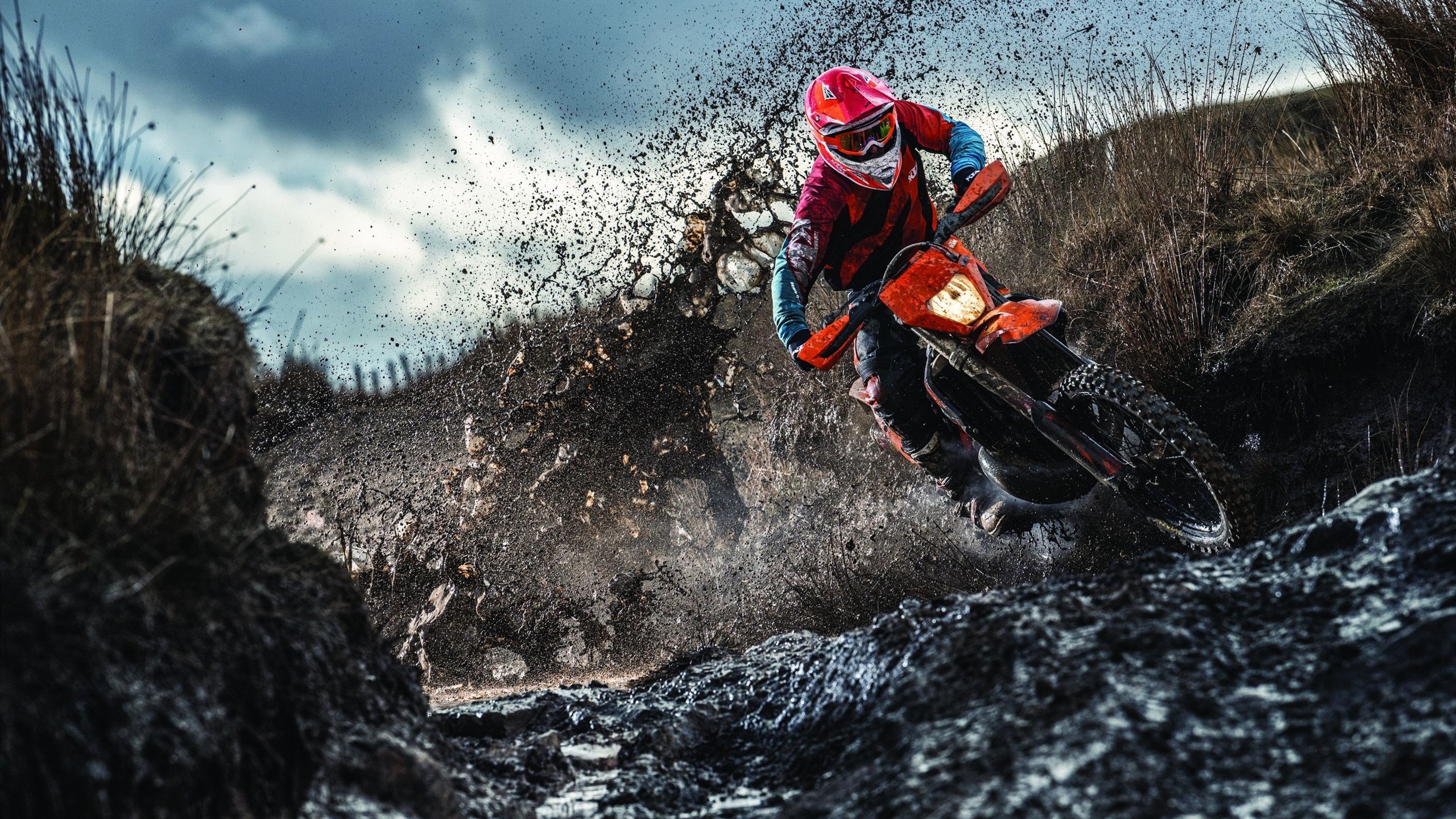 西决生死战乔治接管比赛，凯尔特人式连续得分压制浙江队